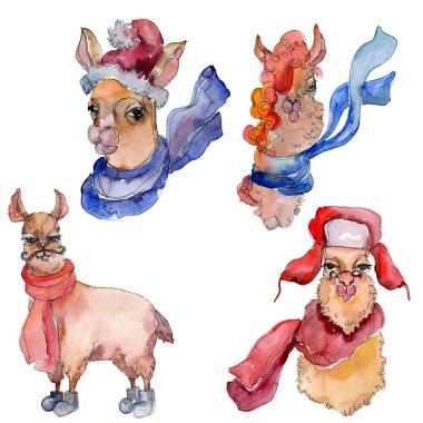 Çizgi film karakteri lama hayvan suluboya tarzında. Suluboya arka plan illüstrasyon küme. İzole Lama öğesi.