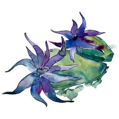 Mavi yeşil su sualtı doğa mercan kayalığı. Suluboya arka plan ayarlamak. Mercan illüstrasyon izole öğesi.