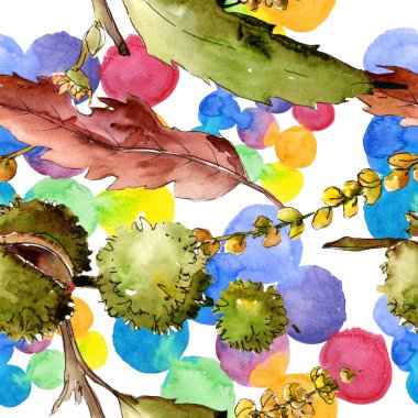 Tatlı kestane yaprak ve meyve. Suluboya arka plan illüstrasyon küme. Sorunsuz arka plan deseni.