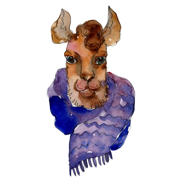 Çizgi film karakteri lama hayvan suluboya tarzında. Suluboya arka plan illüstrasyon küme. İzole Lama öğesi.