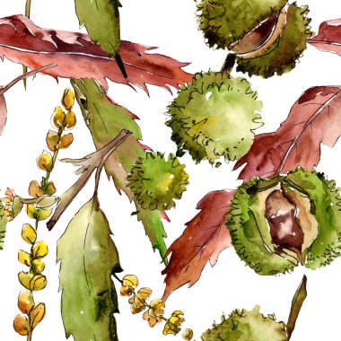 Tatlı kestane yaprak ve meyve. Suluboya arka plan illüstrasyon küme. Sorunsuz arka plan deseni.