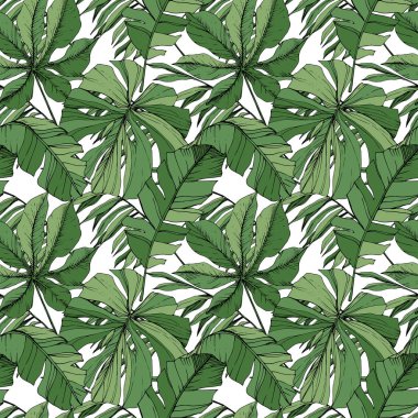 Vektör yaprak yeşil bitki bahçe çiçek bitki örtüsü. Oyulmuş mürekkep sanat. Palm beach ağaç yaprak. Sorunsuz arka plan deseni.