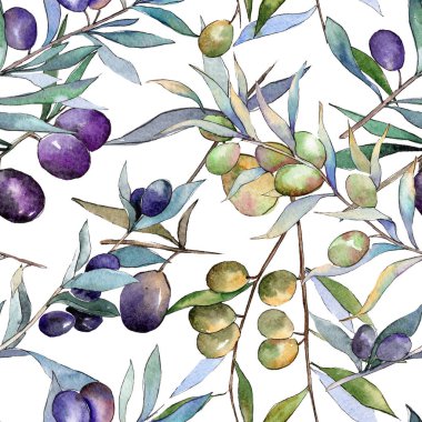 Yeşil ve siyah zeytin. Suluboya arka plan illüstrasyon küme. Sorunsuz arka plan deseni.