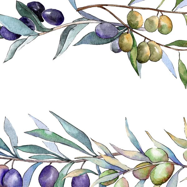 Olives vertes et noires. Ensemble d'illustration de fond aquarelle. Cadre bordure ornement carré . — Photo