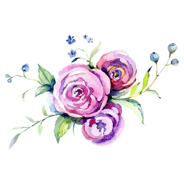 Pink rose floral botanical flower. Watercolor background illustration set. Isolated bouquet illustration element. — Stock Photo, Image