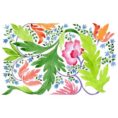 Pembe ve turuncu botanik çiçek. Suluboya arka plan ayarlamak. İzole süsleme illüstrasyon öğesi.