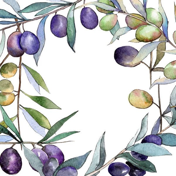 Olives vertes et noires. Ensemble d'illustration de fond aquarelle. Cadre bordure ornement carré . — Photo