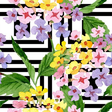 Pembe lantana botanik çiçek. Suluboya arka plan illüstrasyon küme. Sorunsuz arka plan deseni.