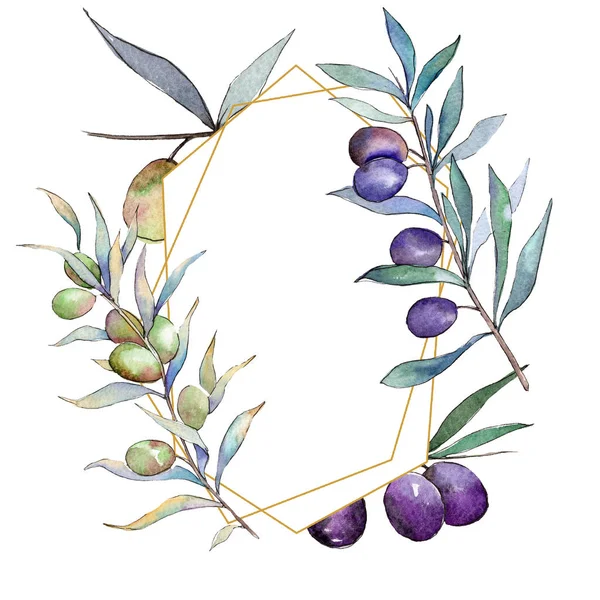 Olives vertes et noires. Ensemble d'illustration de fond aquarelle. Cadre bordure ornement carré . — Photo