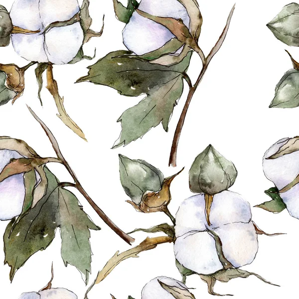Fleur botanique florale en coton blanc. Ensemble d'illustration de fond aquarelle. Modèle de fond sans couture . — Photo