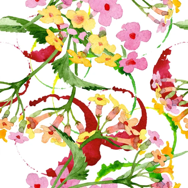 Lantana różowy kwiat kwiatowy botanicznych. Zestaw ilustracji tle akwarela. Bezszwowe tło wzór. — Zdjęcie stockowe