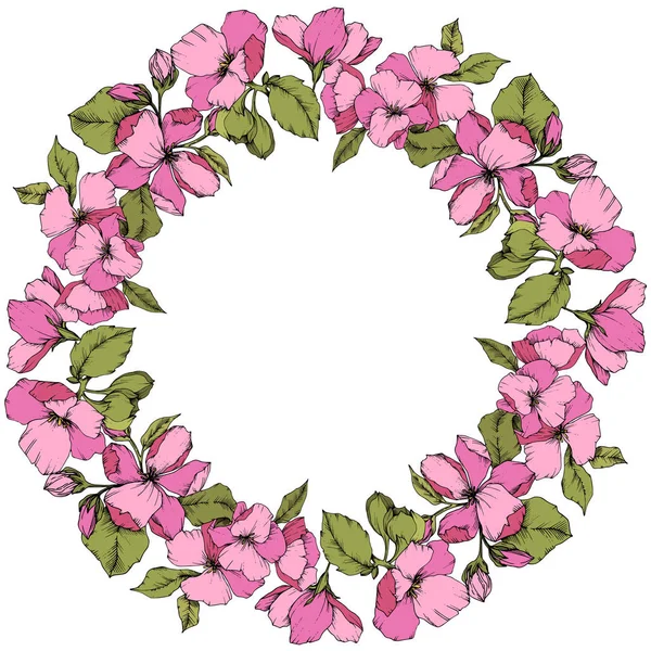 Vektor rosa Apfelblüte florale botanische Blume. Tuschebilder. Rahmen Rand Ornament Quadrat auf weißem Hintergrund. — Stockvektor