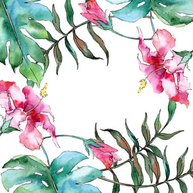 Pembe egzotik tropik hawaiian çiçek. Suluboya arka plan illüstrasyon küme. Çerçeve kenarlığı süsleme Meydanı.