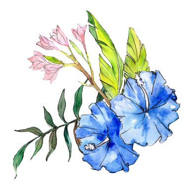Mavi ve pembe egzotik tropik hawaiian çiçek. Suluboya arka plan ayarlamak. İzole çiçek çizim öğesi.