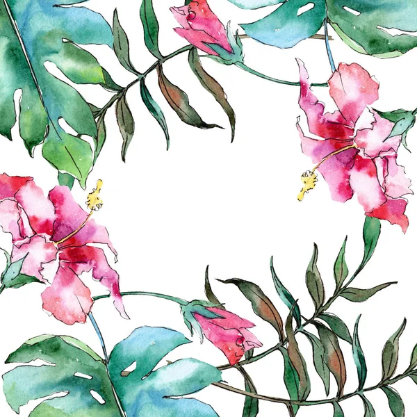 Fleur hawaïenne tropicale exotique rose. Ensemble d'illustration de fond aquarelle. Cadre bordure ornement carré . — Photo