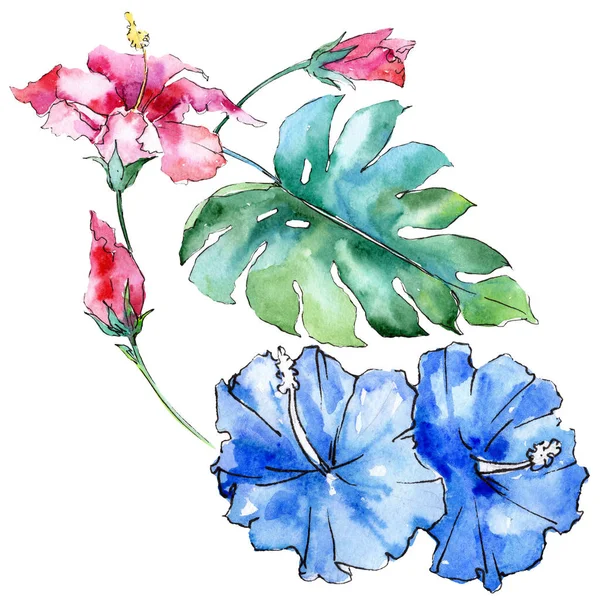 Flores exóticas tropicales hawaianas azules y rosadas. Conjunto de fondo acuarela. Elemento de ilustración de flores aisladas . — Foto de Stock