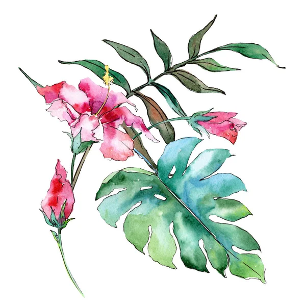 Pink exotic tropical hawaiian flowers. Watercolor background set. Isolated flower illustration element.