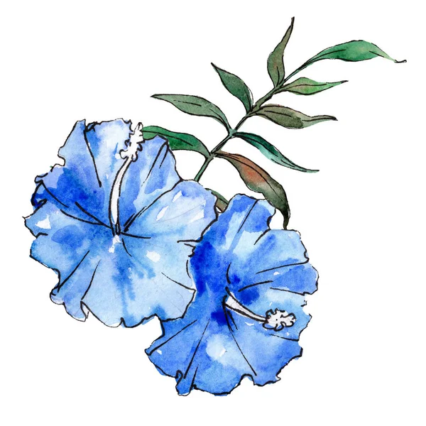 블루 이국적인 열 대 하와이안 꽃입니다. 수채화 배경 세트입니다. 격리 된 꽃 그림 요소. — 스톡 사진