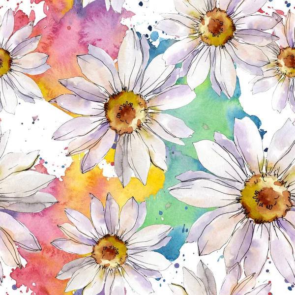Margarita blanca flor botánica floral. Conjunto de ilustración de fondo acuarela. Patrón de fondo sin costuras . — Foto de Stock