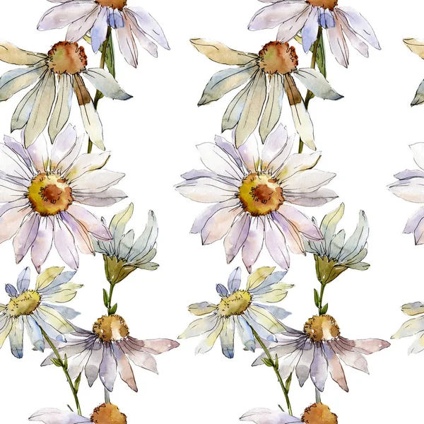Beyaz papatya botanik çiçek. Suluboya arka plan illüstrasyon küme. Sorunsuz arka plan deseni. — Stok fotoğraf