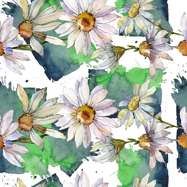 Daisy biały botaniczny kwiat kwiatowy. Zestaw ilustracji tle akwarela. Bezszwowe tło wzór. — Zdjęcie stockowe