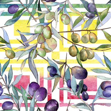 Yeşil ve siyah zeytin. Suluboya arka plan illüstrasyon küme. Sorunsuz arka plan deseni.