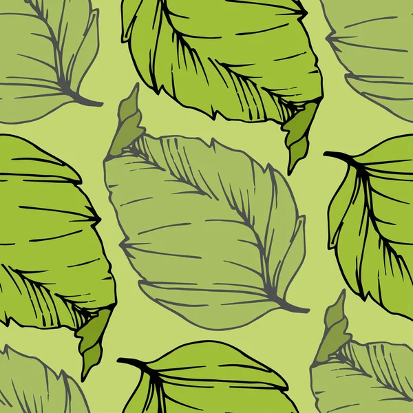 Векторні Фрукти Вишні Білому Тлі Зелений Лист Листя Рослини Ботанічний — стоковий вектор