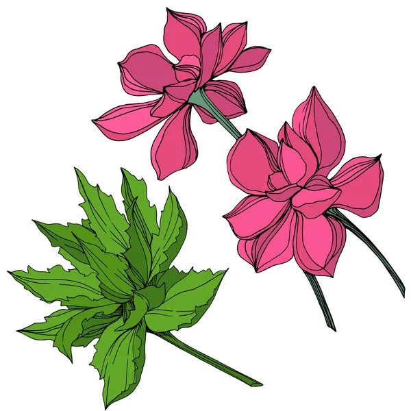 Flor Suculenta Botánica Selva Vectorial Hoja Primavera Salvaje Aislada Ilustración — Vector de stock