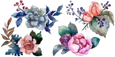 Şakayık ve etli buket botanik çiçek. Vahşi bahar yaprak kır çiçeği. Suluboya arka plan illüstrasyon küme. Suluboya çizim moda aquarelle. İzole buket illüstrasyon öğesi.