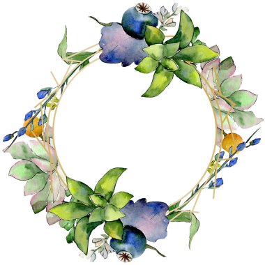 Etli çiçek botanik çiçek buketleri. Vahşi bahar yaprak. Suluboya arka plan illüstrasyon küme. Suluboya çizim moda aquarelle izole. Çerçeve kenarlığı kristal süsleme Meydanı.