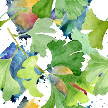 Ginkgo biloba yeşil yaprakları. Yaprak bitki çiçek bitki örtüsü. Suluboya resim kümesi. Suluboya çizim moda aquarelle izole. Sorunsuz arka plan deseni. Kumaş duvar kağıdı yazdırma doku.