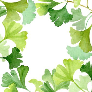 Ginkgo biloba yeşil yaprakları. Yaprak bitki botanik bahçe çiçek yaprakları. Suluboya arka plan illüstrasyon küme. Suluboya çizim moda aquarelle izole. Çerçeve kenarlığı süsleme Meydanı.