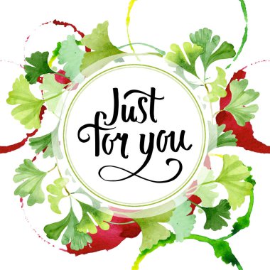 Ginkgo biloba yeşil yaprakları. Yaprak bitki botanik bahçe çiçek yaprakları. Suluboya arka plan illüstrasyon küme. Suluboya çizim moda aquarelle izole. Çerçeve kenarlığı süsleme Meydanı.