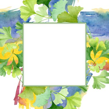 Ginkgo biloba yeşil yaprakları. Yaprak bitki botanik bahçe çiçek yaprakları. Suluboya arka plan illüstrasyon küme. Suluboya çizim moda aquarelle izole. Çerçeve kenarlığı süsleme Meydanı.
