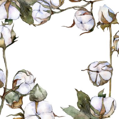 Beyaz pamuklu botanik çiçek. Vahşi bahar yaprak izole kır çiçeği. Suluboya arka plan illüstrasyon küme. Suluboya çizim moda aquarelle izole. Çerçeve kenarlığı süsleme Meydanı.