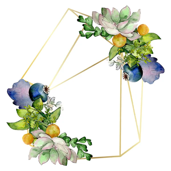 Kytice Sukulentní Květinové Botanické Květin Divoký Jarní List Sada Akvarel — Stock fotografie