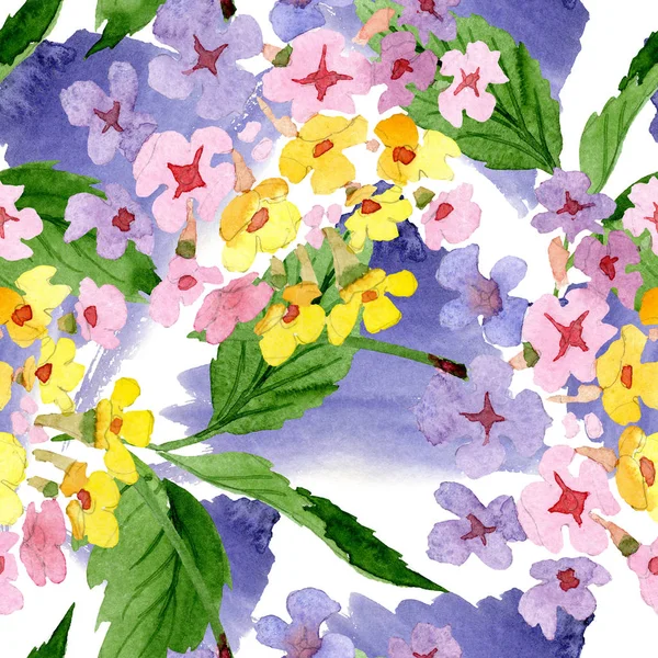 Rosa Lantana Blommig Blomma Vilda Våren Leaf Wildflower Isolerade Akvarell — Stockfoto