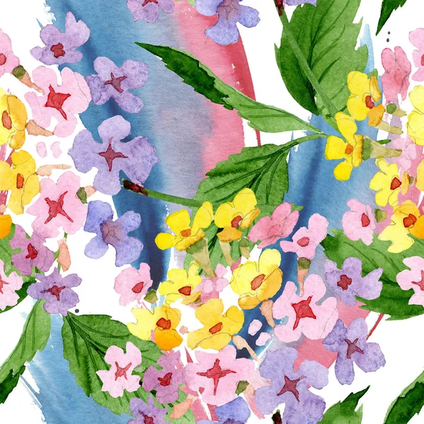 Pembe Lantana Çiçek Vahşi Bahar Yaprak Izole Kır Çiçeği Suluboya — Stok fotoğraf