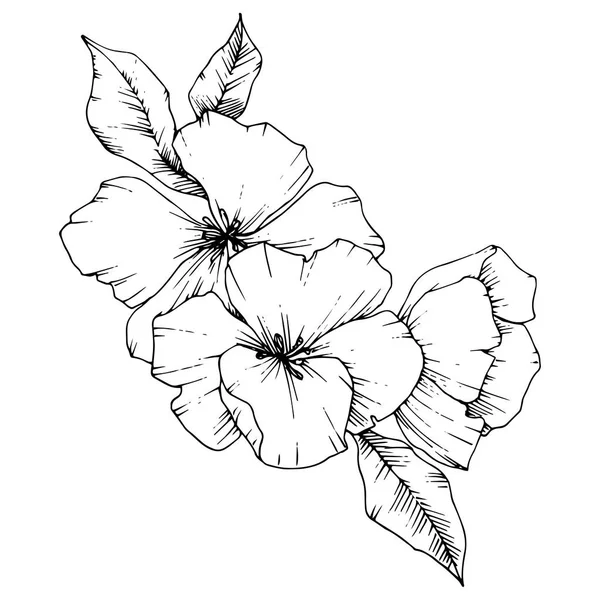Vecteur Fleur Pomme Fleur Botanique Florale Feuille Sauvage Printemps Fleur — Image vectorielle