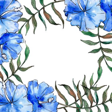 Mavi egzotik tropik hawaiian çiçek. Suluboya arka plan illüstrasyon küme. Çerçeve kenarlığı süsleme Meydanı.