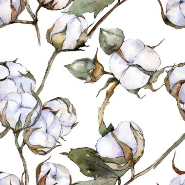Beyaz pamuklu botanik çiçek. Suluboya arka plan illüstrasyon küme. Sorunsuz arka plan deseni.