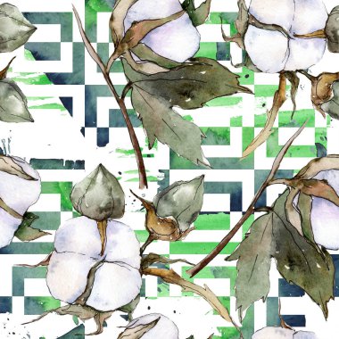 Beyaz pamuklu botanik çiçek. Suluboya arka plan illüstrasyon küme. Sorunsuz arka plan deseni.