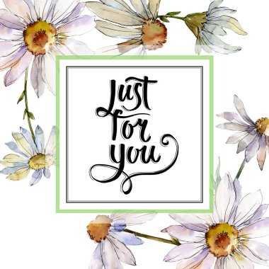 Beyaz papatya botanik çiçek. Suluboya arka plan illüstrasyon küme. Çerçeve kenarlığı süsleme Meydanı.