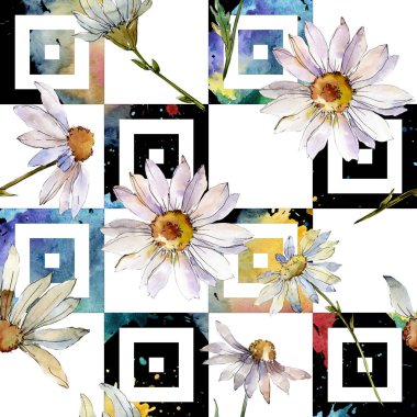 Beyaz papatya botanik çiçek. Suluboya arka plan illüstrasyon küme. Sorunsuz arka plan deseni.