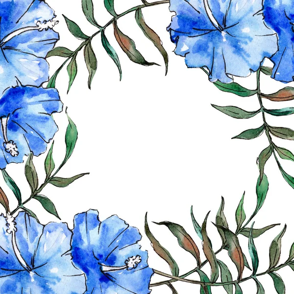 Flor tropical hawaiana azul exótica. Conjunto de ilustración de fondo acuarela. Marco borde ornamento cuadrado . — Foto de Stock