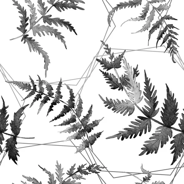 Φύλλο πράσινο φτέρη. Βοτανικός κήπος λουλουδιών φύλλωμα των φυτών. Σετ ακουαρέλας εικονογράφηση. Απρόσκοπτη υπόβαθρο μοτίβο. — Φωτογραφία Αρχείου