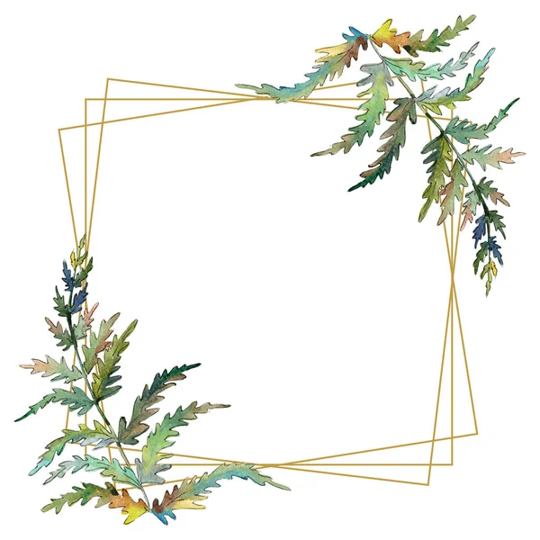 Φύλλο πράσινο φτέρη. Φυτό κήπου λουλουδιών φύλλωμα. Ακουαρέλα φόντο εικόνα σύνολο. Πλαίσιο συνόρων στολίδι τετράγωνο. — Φωτογραφία Αρχείου