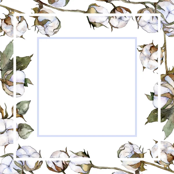 Flor botânica floral de algodão branco. Conjunto de ilustração de fundo aquarela. Quadro borda ornamento quadrado . — Fotografia de Stock