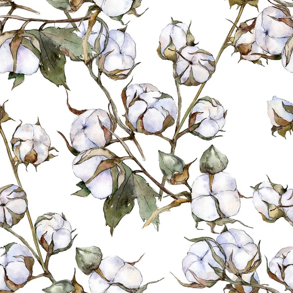 Beyaz pamuklu botanik çiçek. Suluboya arka plan illüstrasyon küme. Sorunsuz arka plan deseni. — Stok fotoğraf