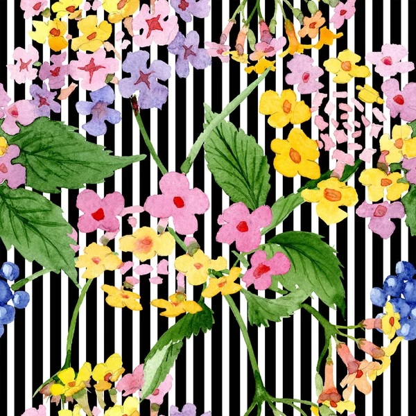 Pembe lantana botanik çiçek. Suluboya arka plan illüstrasyon küme. Sorunsuz arka plan deseni. — Stok fotoğraf